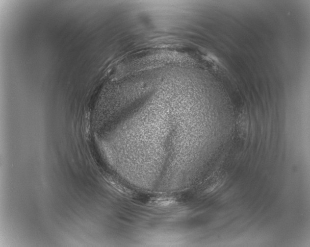 X0000061760554200512161746