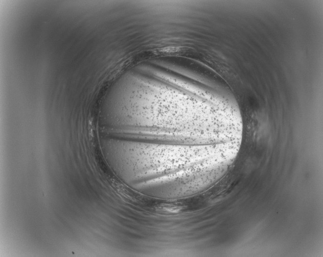 X0000061760555200512161746