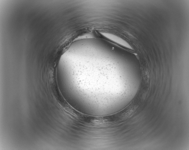 X0000061760556200512161746