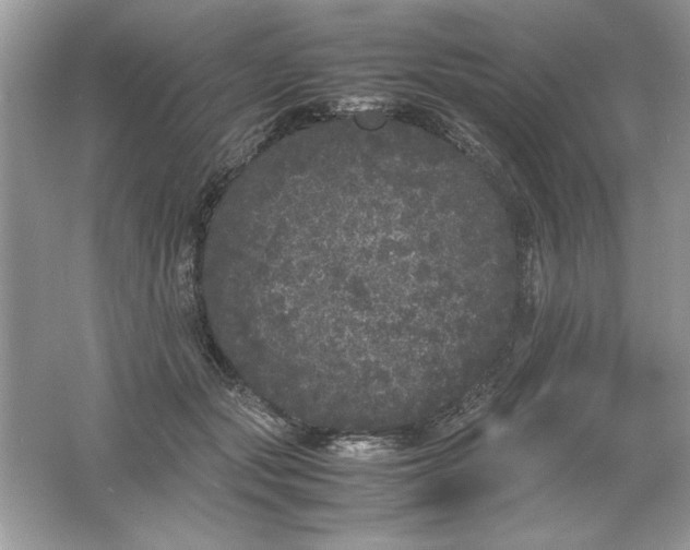 X0000061760557200512161746