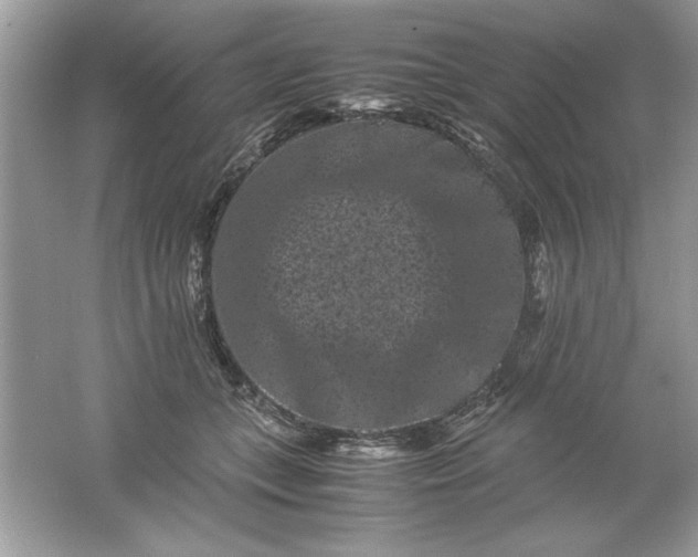 X0000061760559200512161746