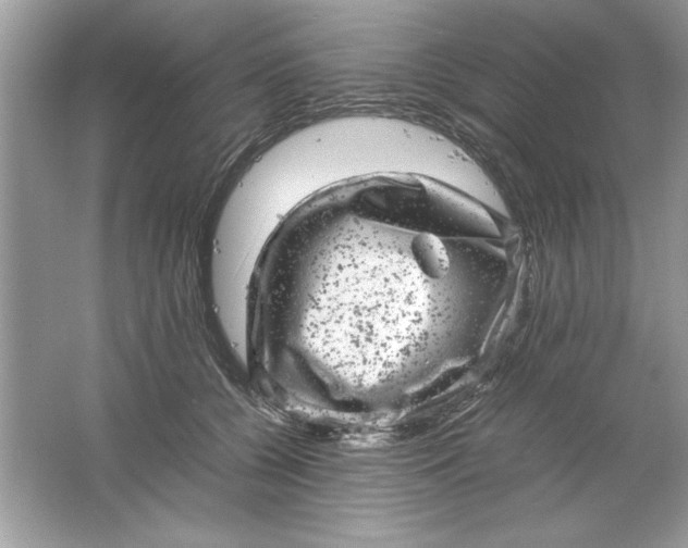 X0000061760560200512161746