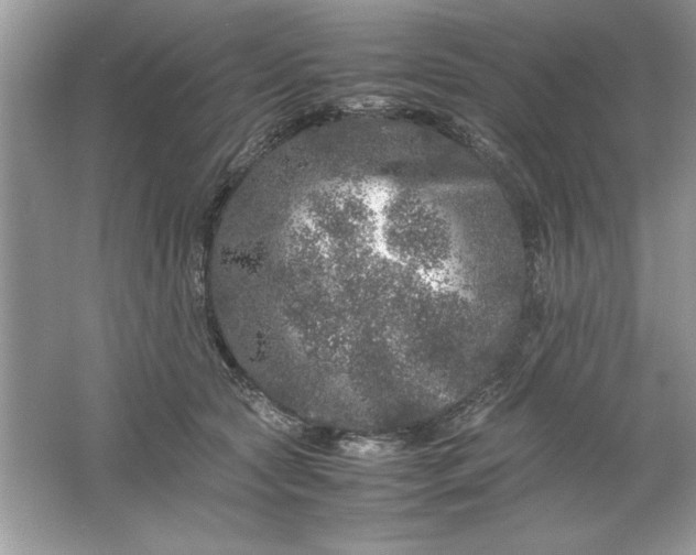 X0000061760561200512161746