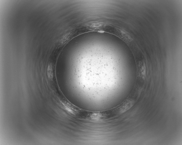 X0000061760562200512161746