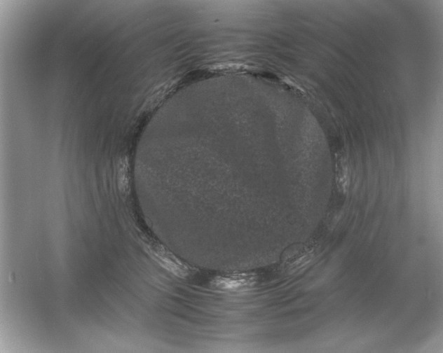 X0000061760563200512161746