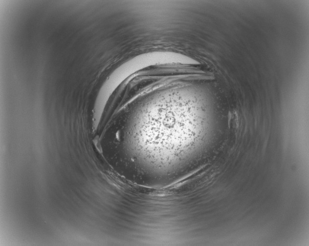 X0000061760564200512161746