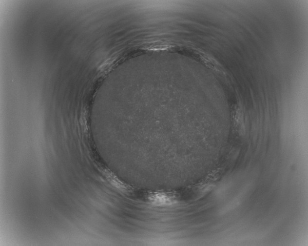 X0000061760565200512161746