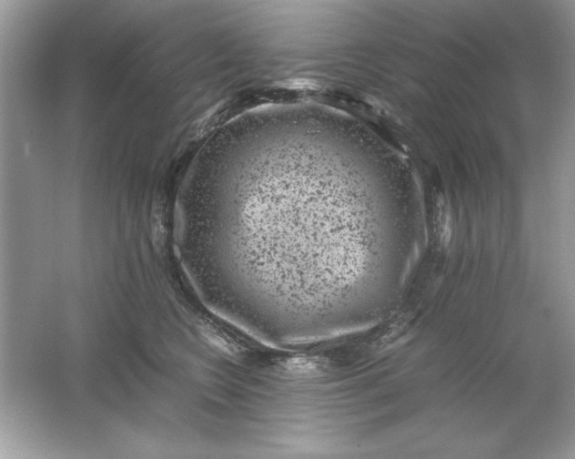 X0000061760566200512161746