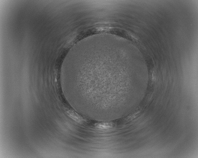 X0000061760567200512161746