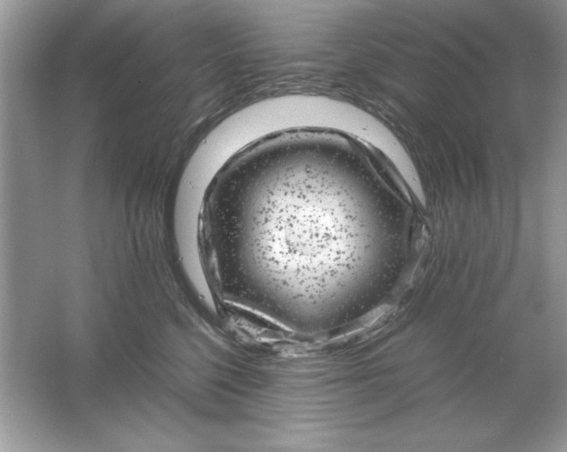 X0000061760568200512161746