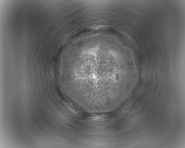 X0000061760569200512161746