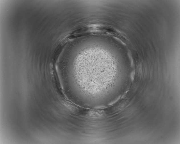 X0000061760571200512161746