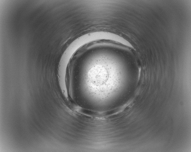 X0000061760572200512161746