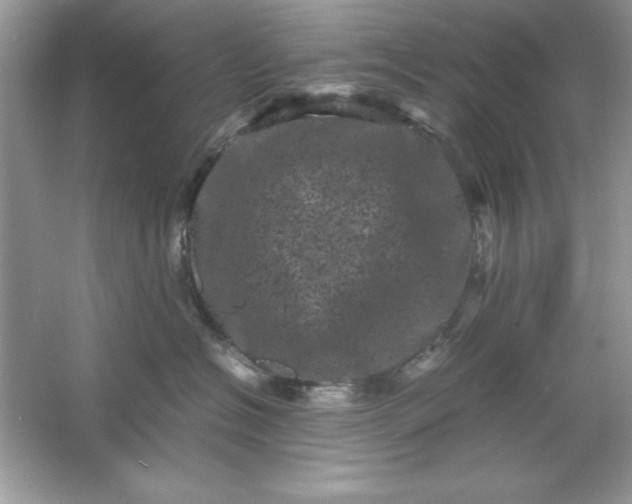 X0000061760574200512161746