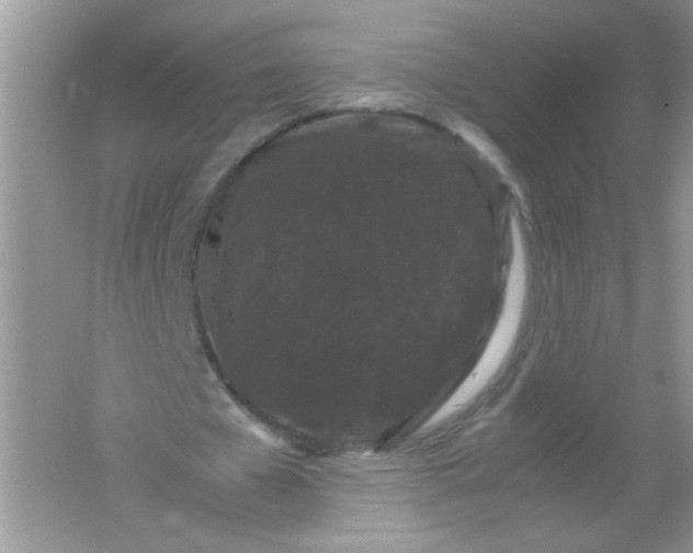 X0000061760577200512161746