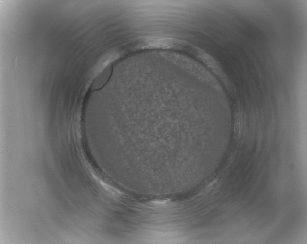 X0000061760578200512161746