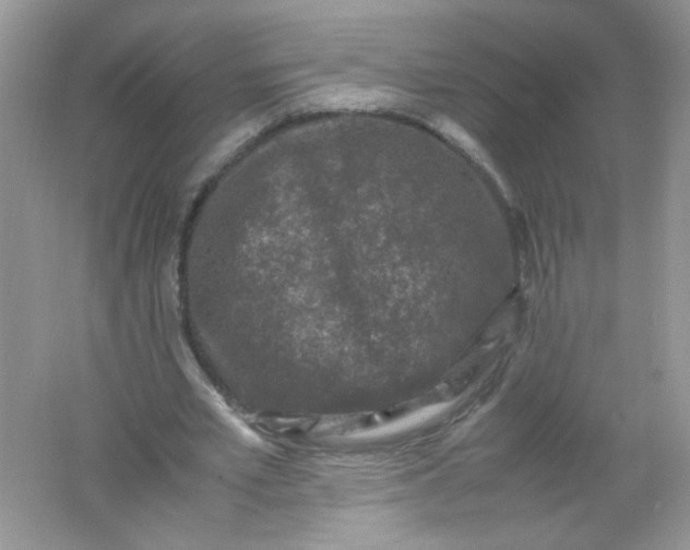 X0000061760581200512161746