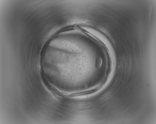 X0000061760582200512161746