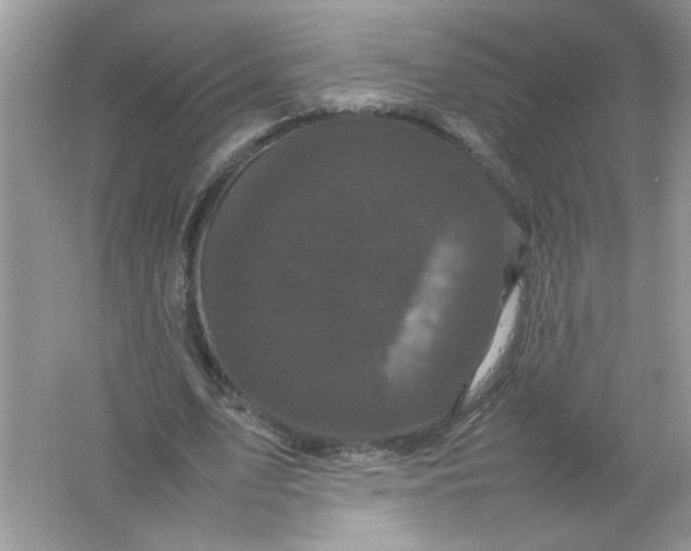 X0000061760583200512161746