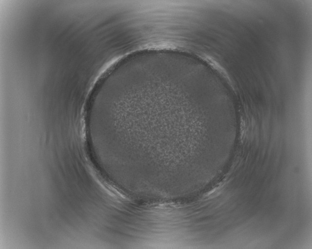 X0000061760584200512161746