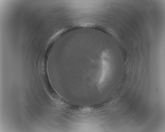 X0000061760587200512161746