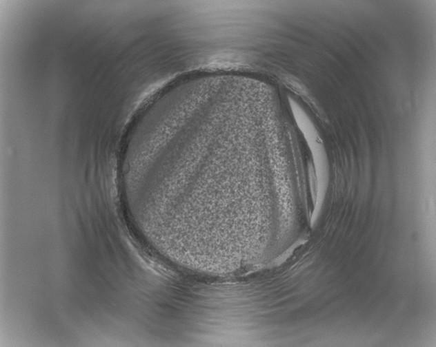 X0000061760588200512161746