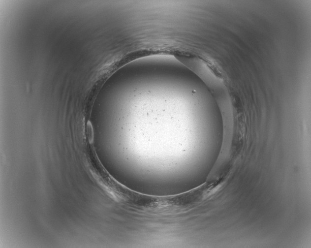 X0000061760589200512161745