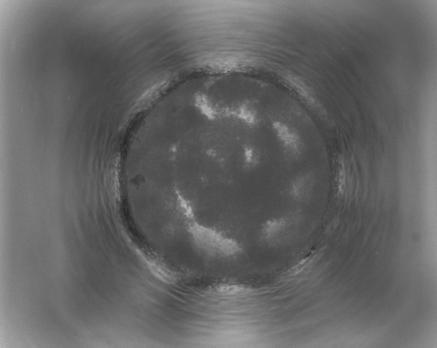 X0000061760590200512161745