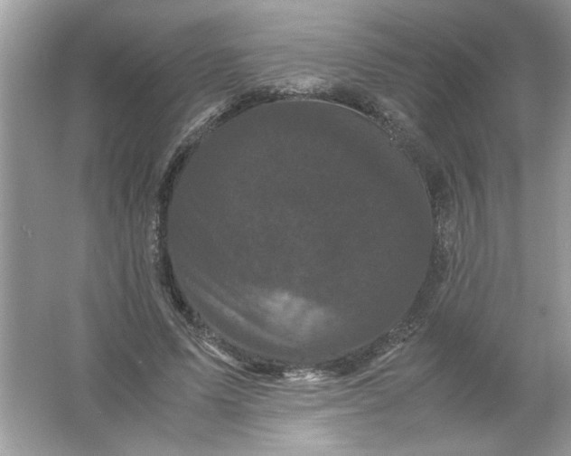 X0000061760591200512161745