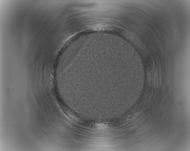 X0000061760592200512161745