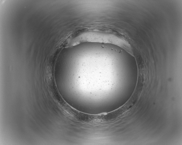 X0000061760593200512161745