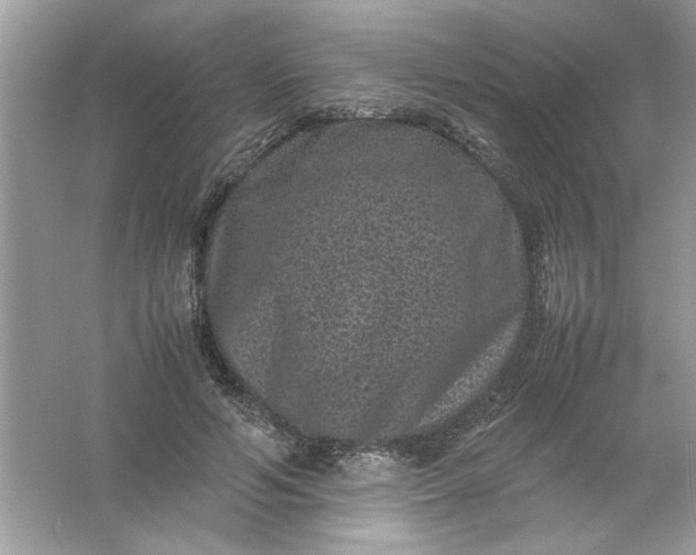 X0000061760594200512161745