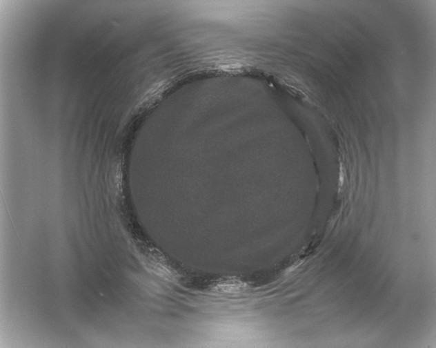 X0000061760595200512161745