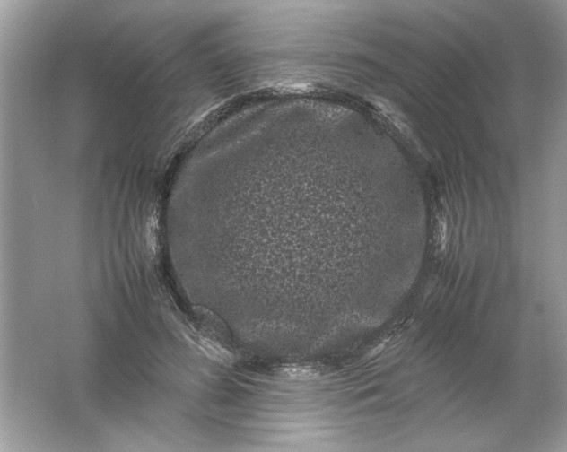 X0000061760596200512161745