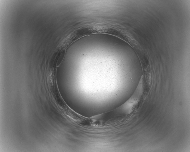 X0000061760597200512161745