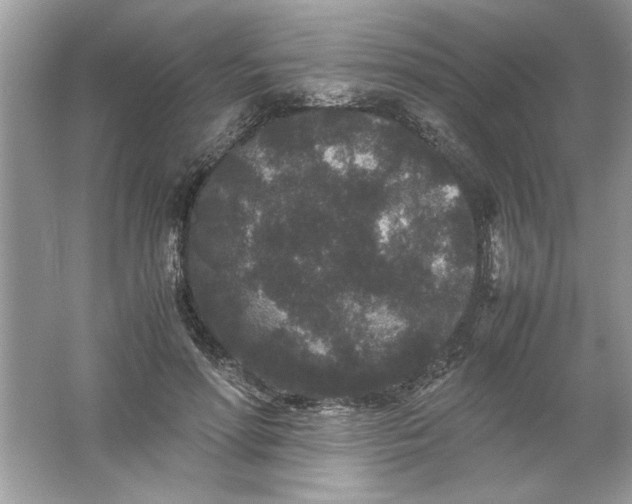 X0000061760598200512161745