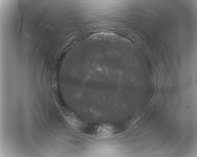 X0000061760599200512161745