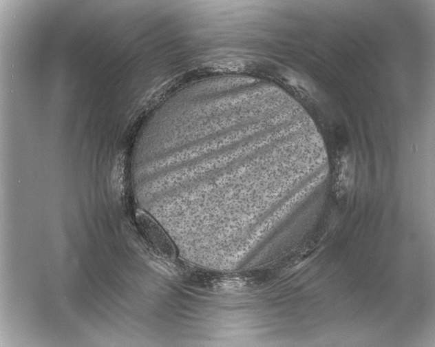 X0000061760600200512161745