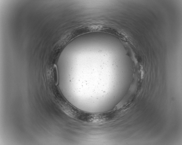 X0000061760601200512161745