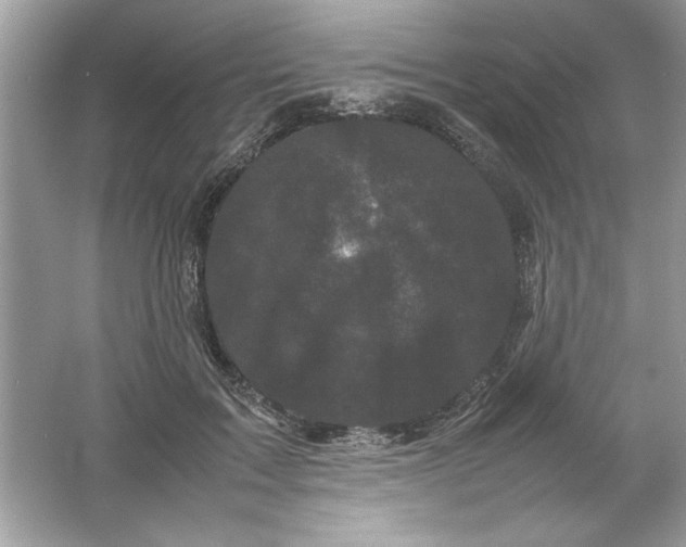 X0000061760603200512161745