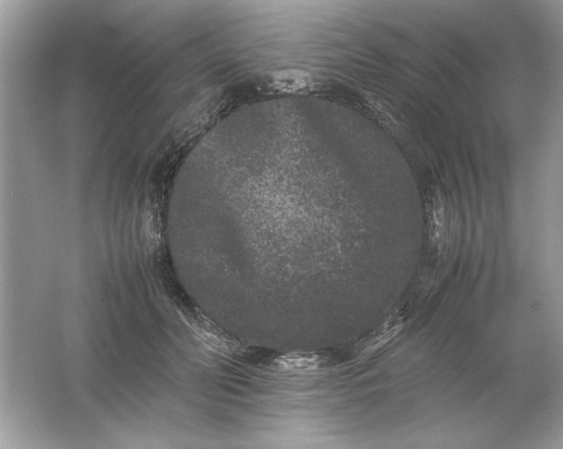 X0000061760606200512161745