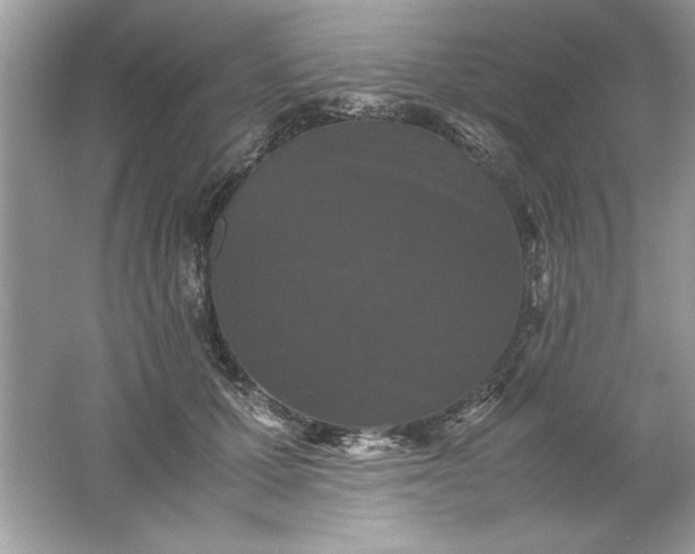 X0000061760607200512161745