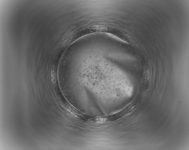 X0000061760609200512161745