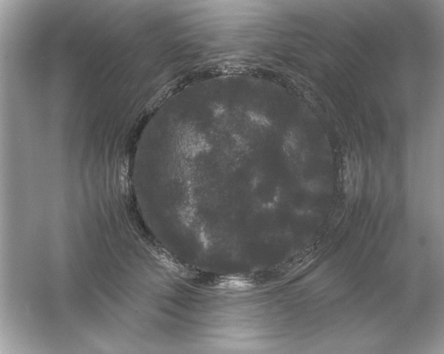 X0000061760610200512161745