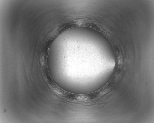 X0000061760611200512161745