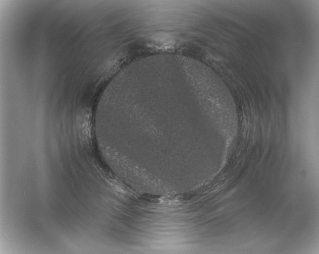 X0000061760612200512161745