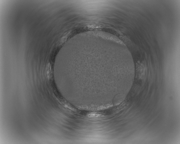 X0000061760614200512161745