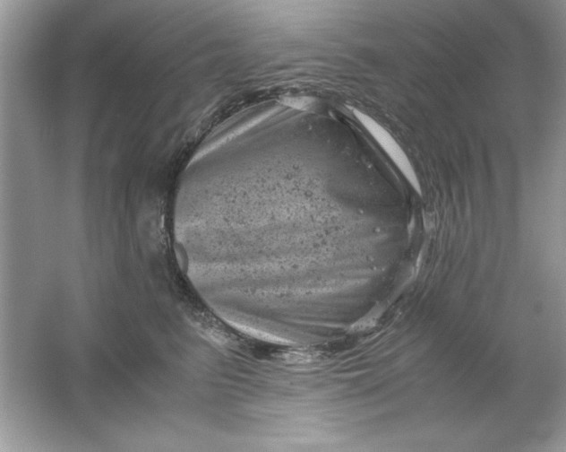 X0000061760615200512161745