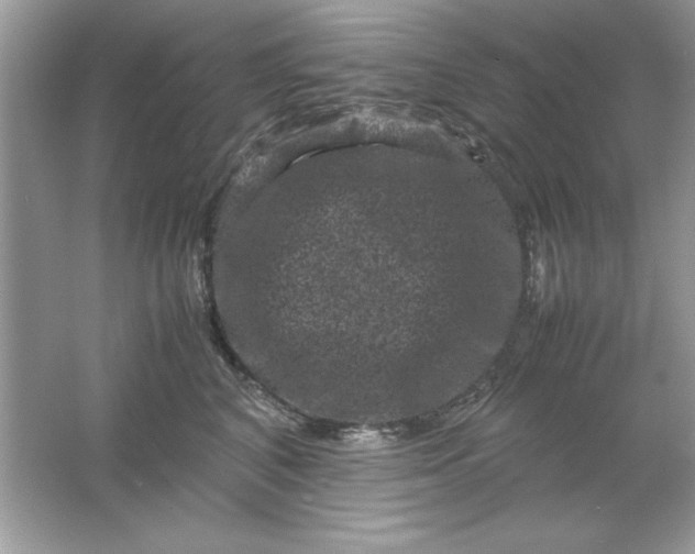 X0000061760616200512161745