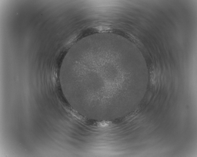 X0000061760618200512161745